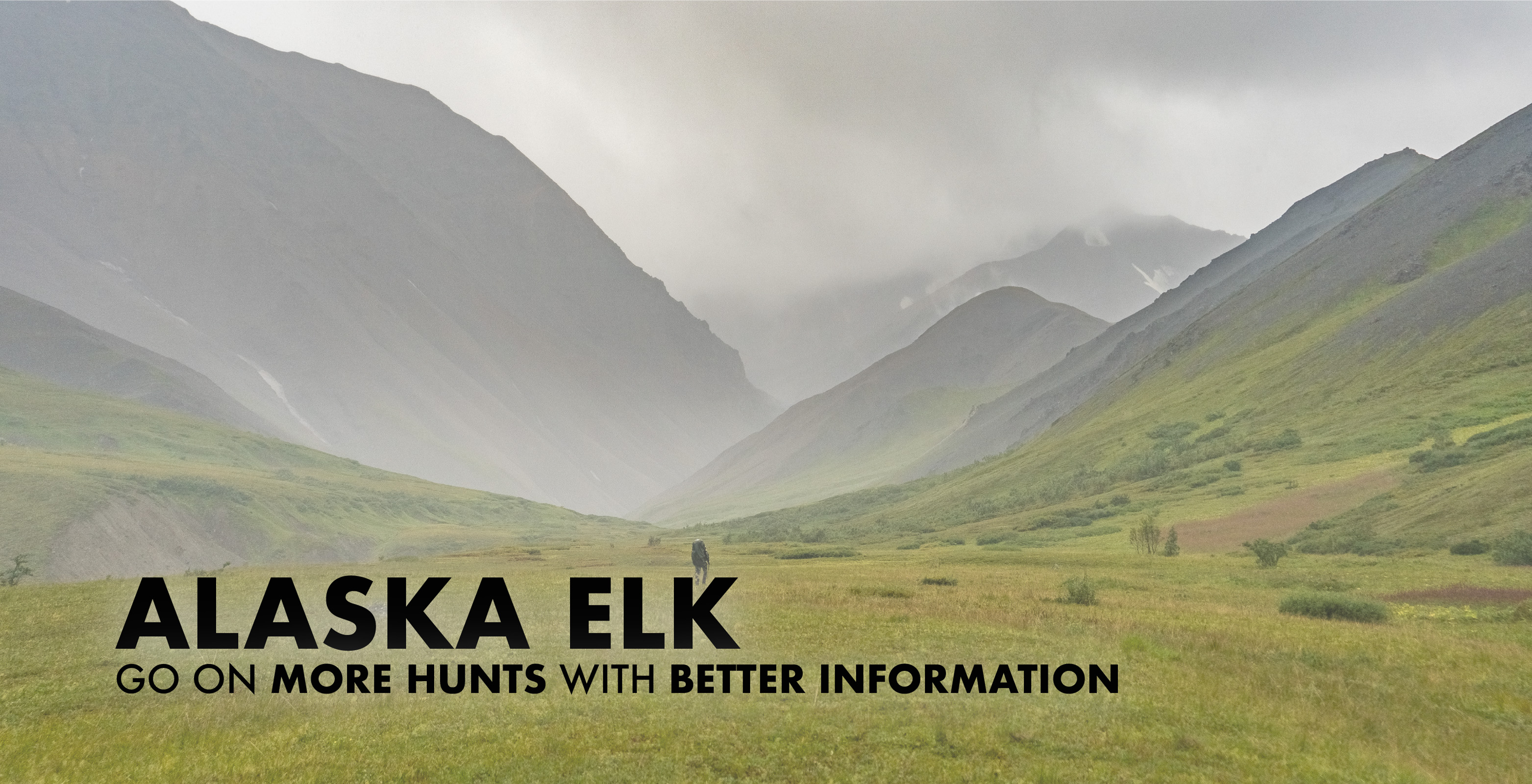 Alaska Elk Hunting