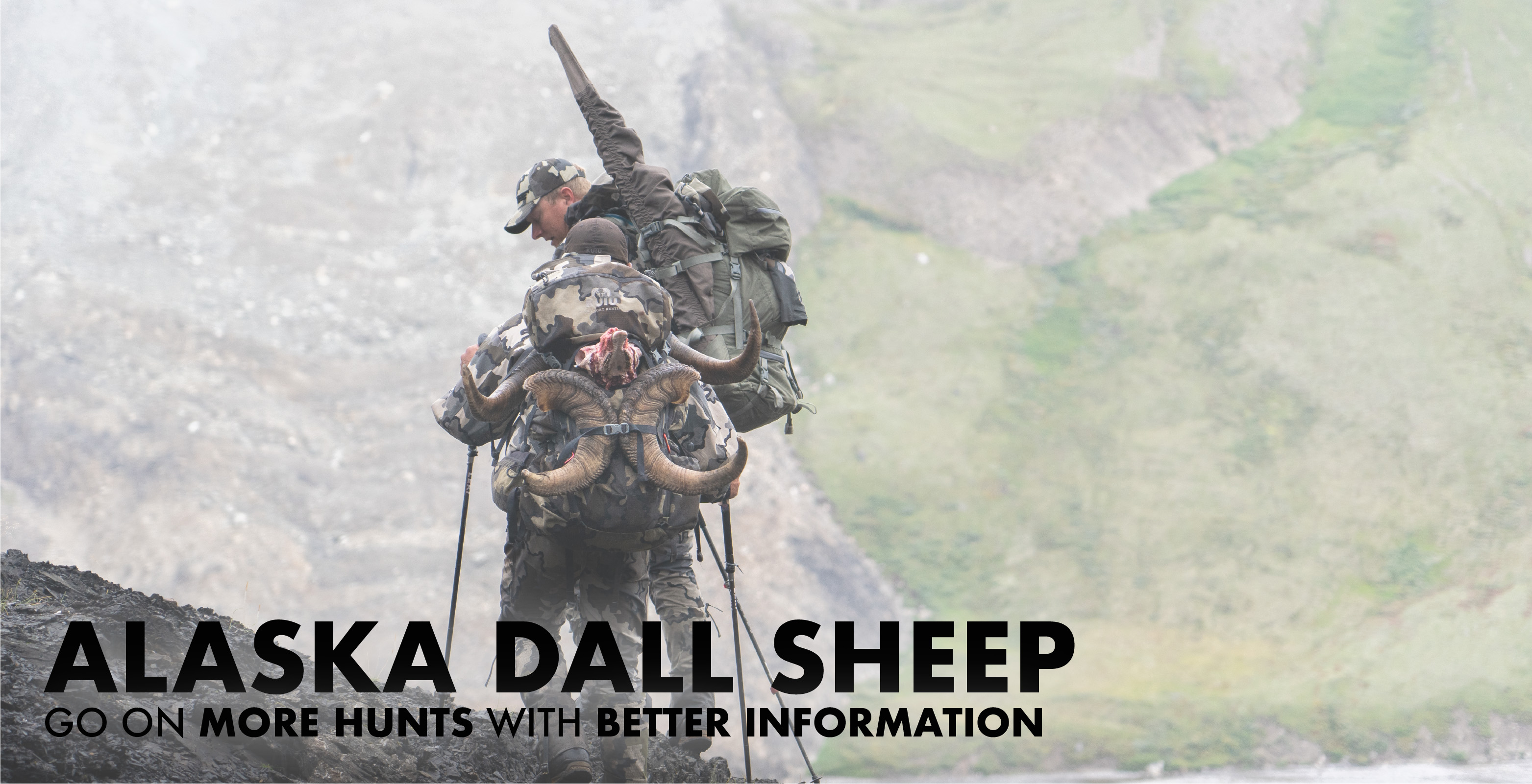 Alaska Dall Sheep Hunting
