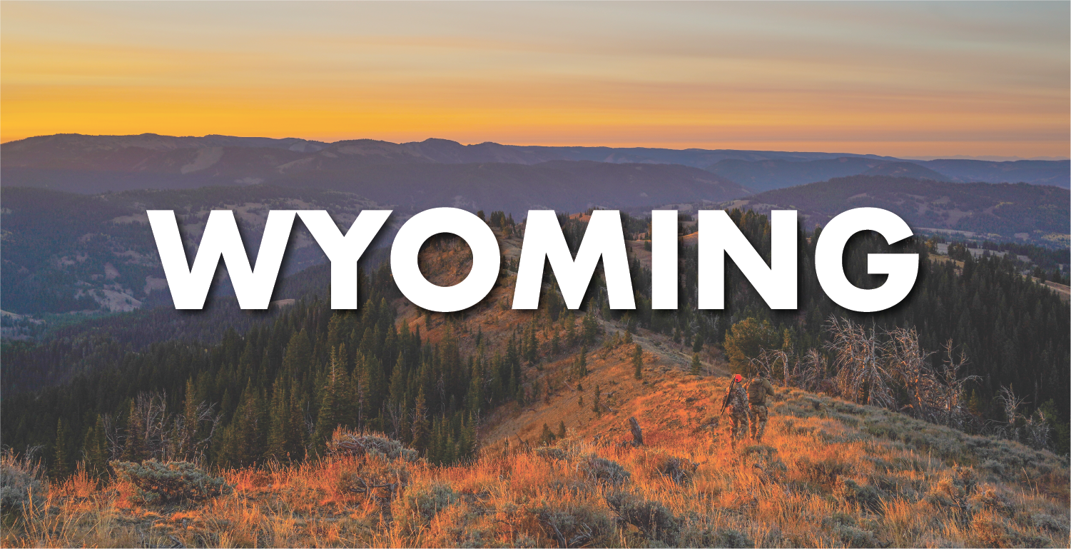 Wyoming Hunting 2022
