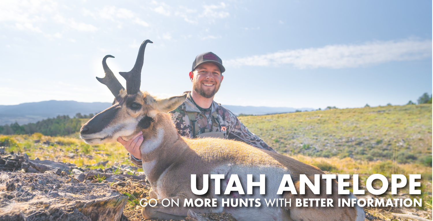 Utah Antelope Hunting