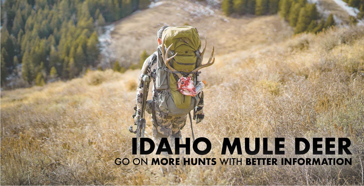 Idaho Deer Hunting