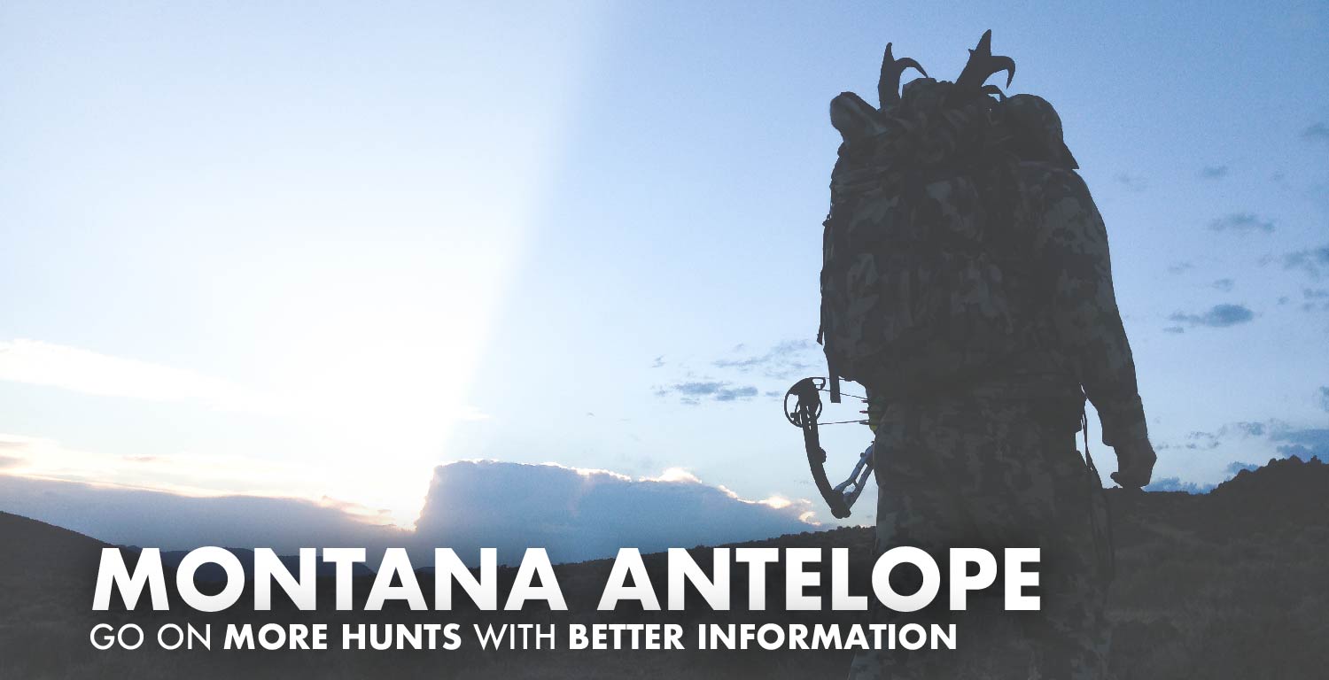 Montana Antelope Hunting