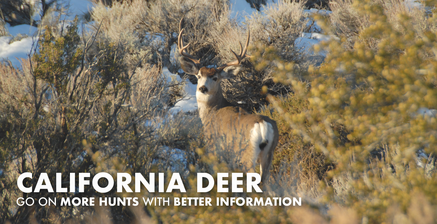 California Deer Hunting 2023 Draw Odds, Tags, Season Info, Deadlines