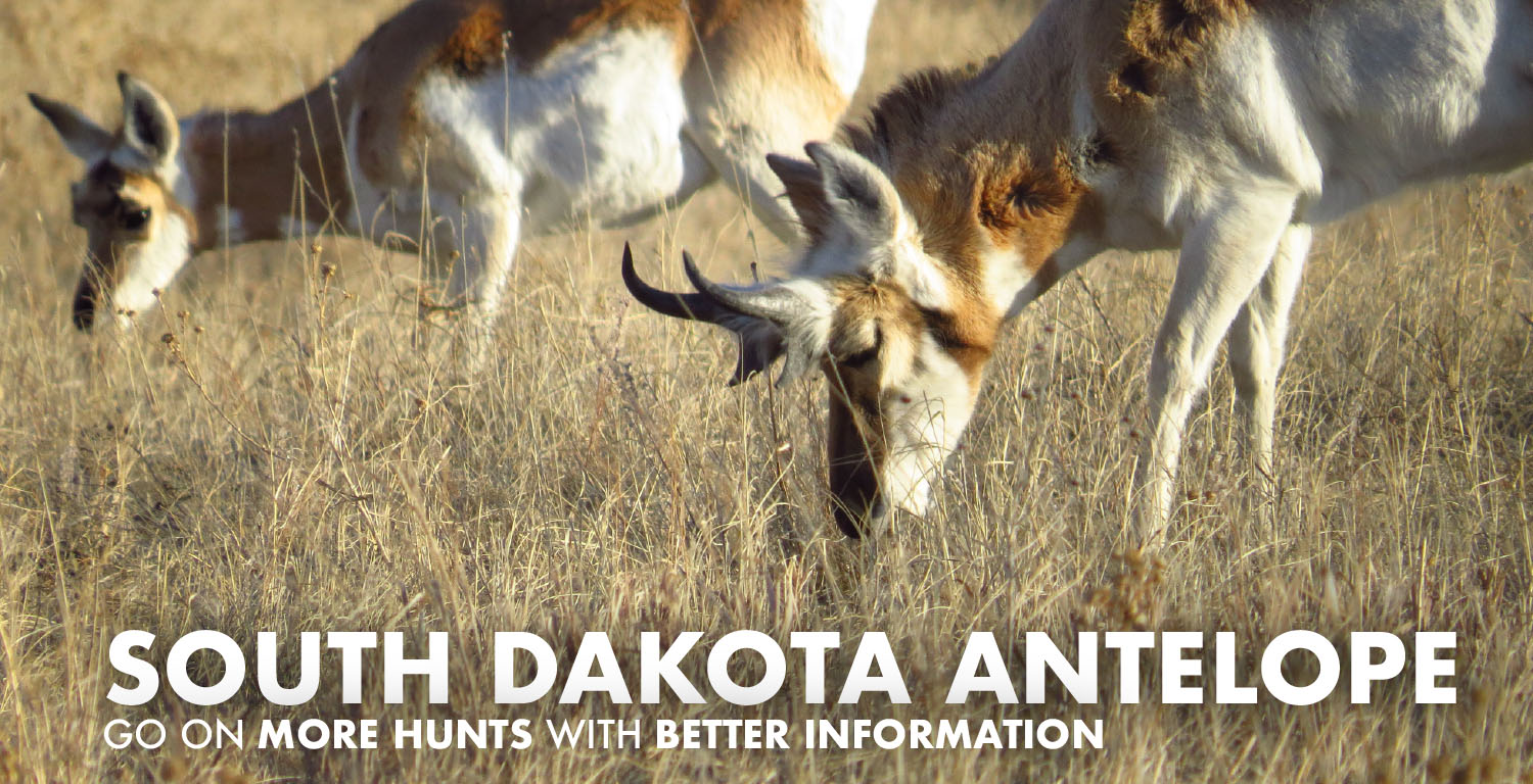 South Dakota Antelope Hunts