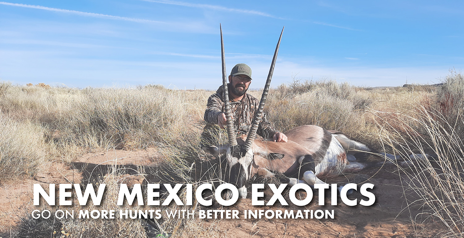 New Mexico Exotic Hunting