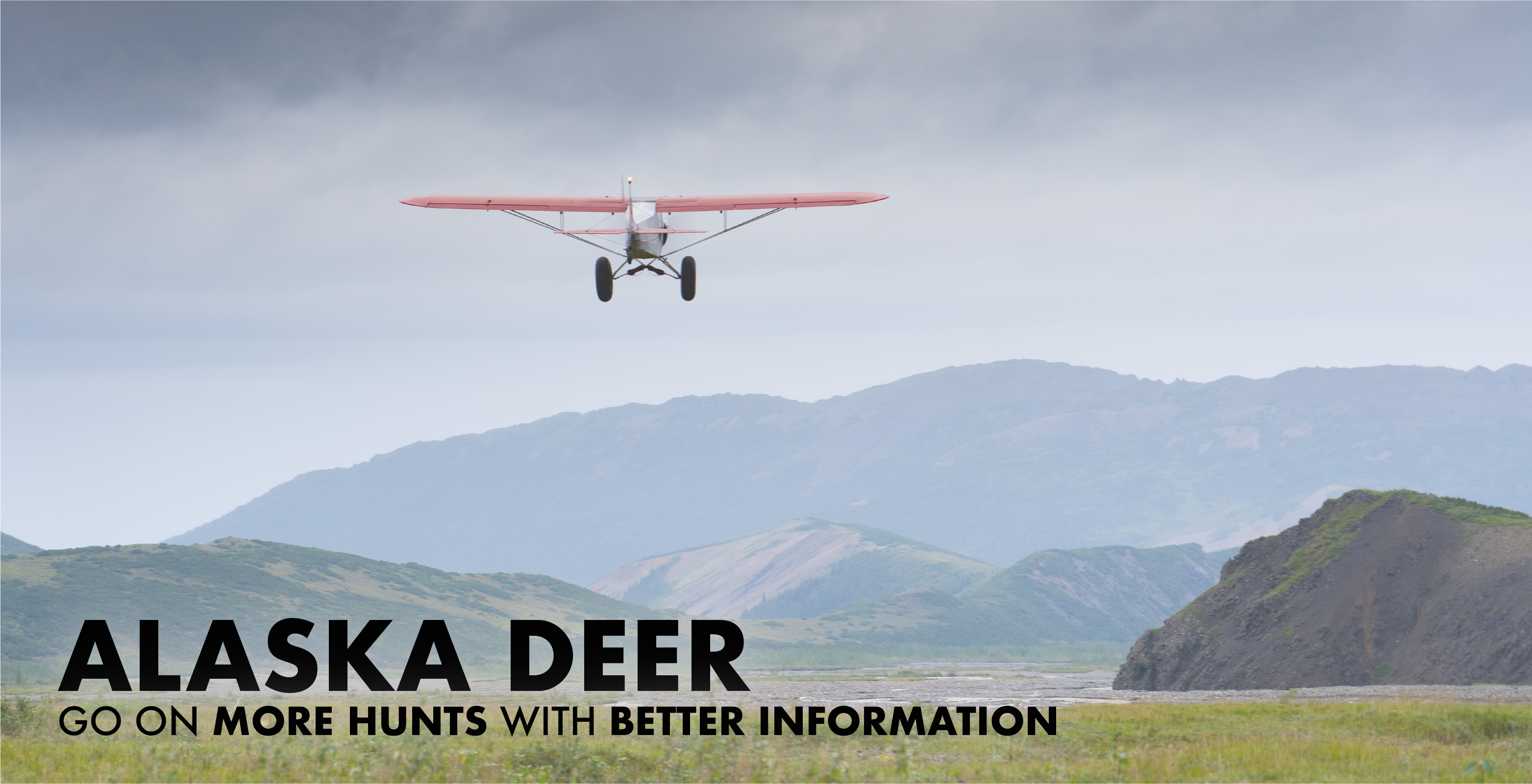 Alaska Deer Hunting