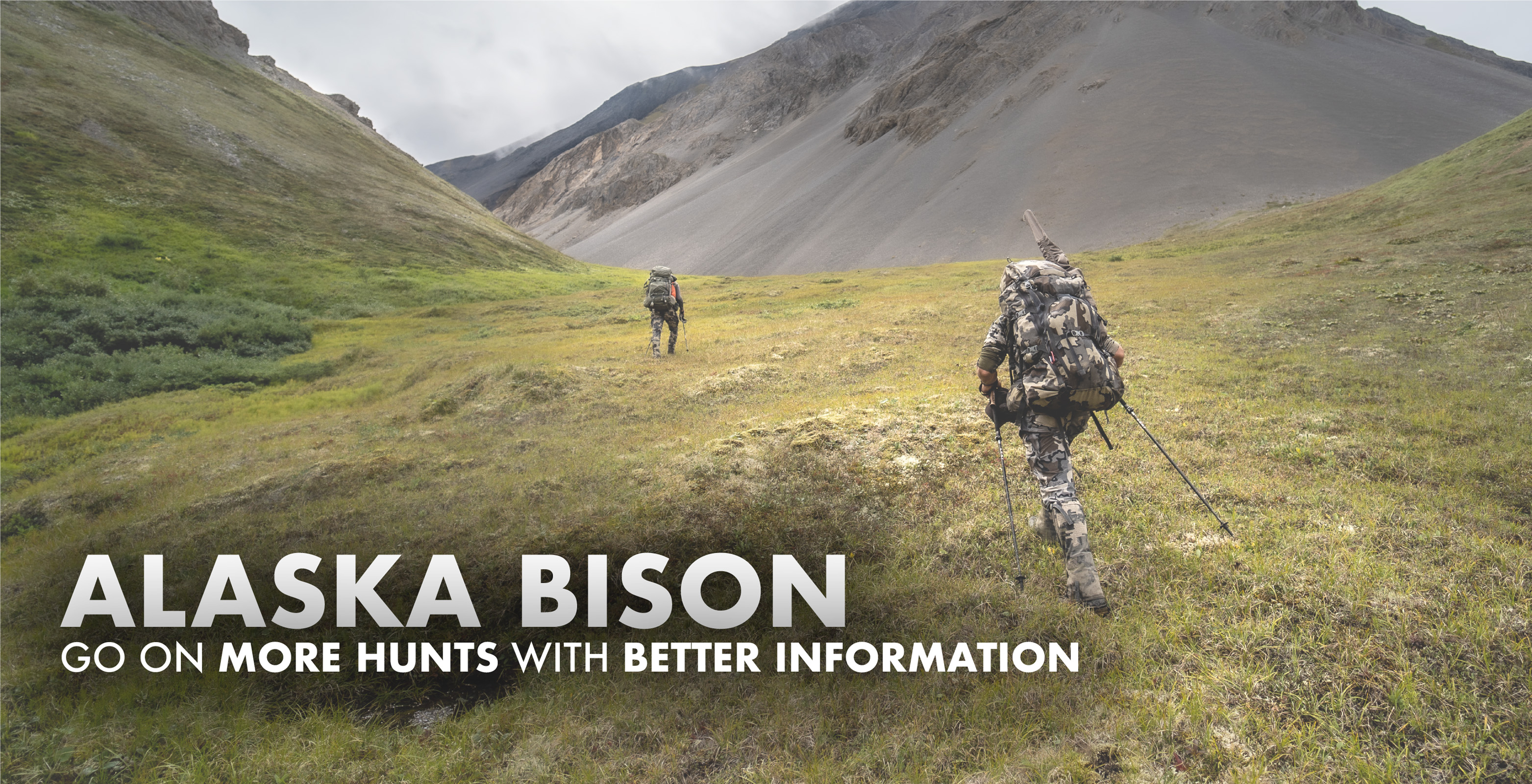 Alaska Bison Hunting