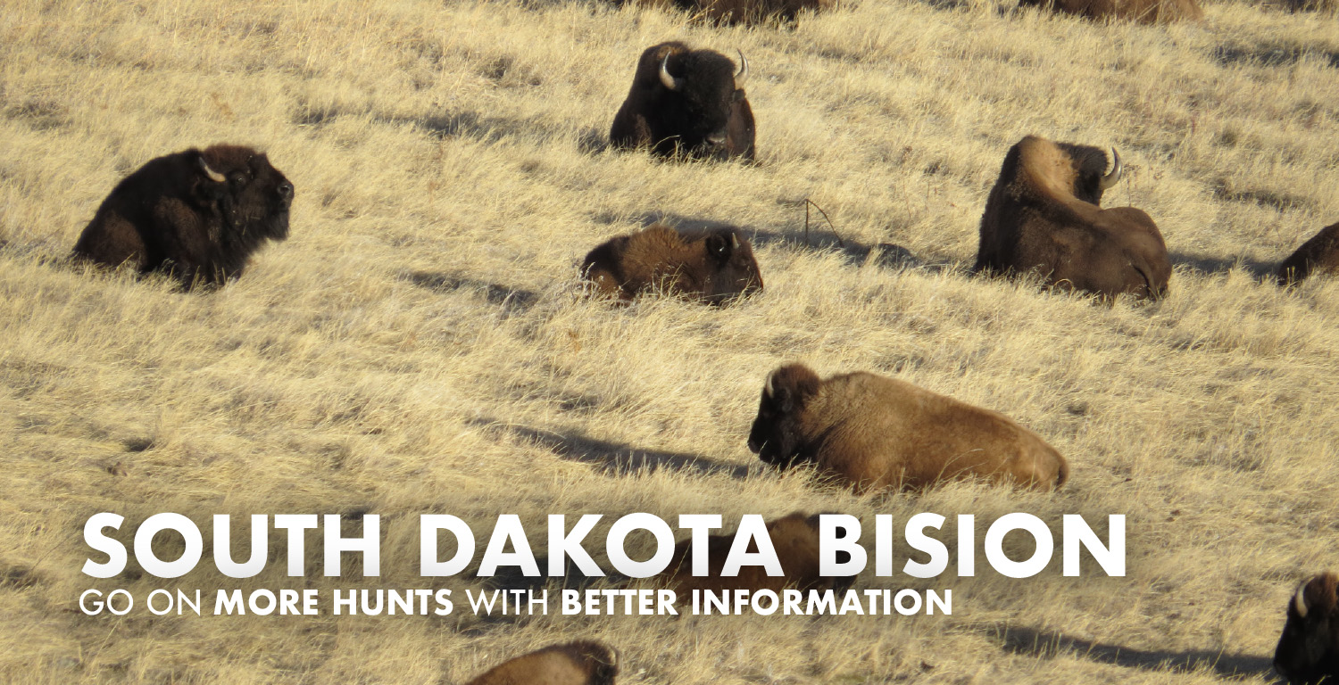 South Dakota Bison Hunts