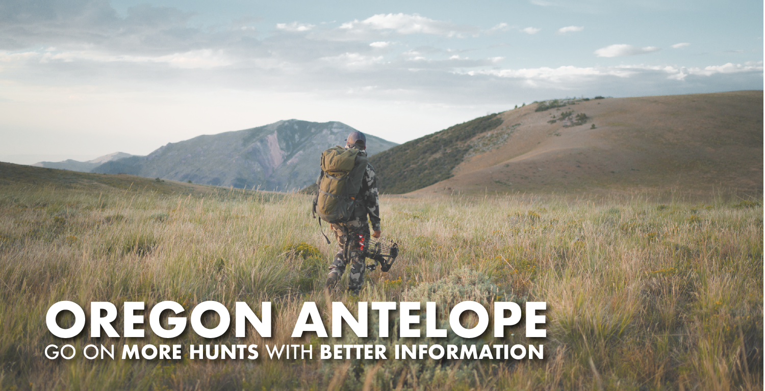 Oregon Antelope Hunting