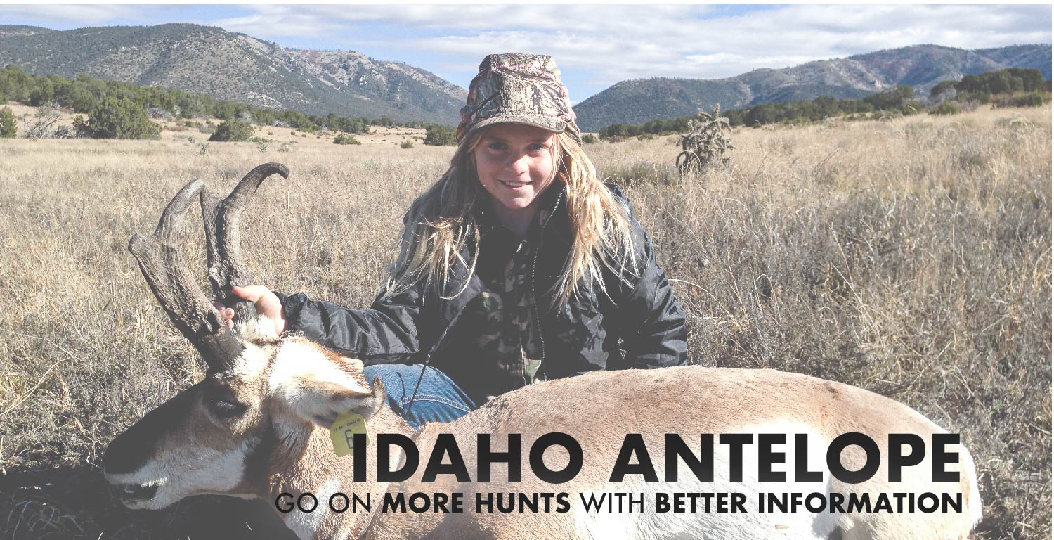 Idaho Antelope Hunting