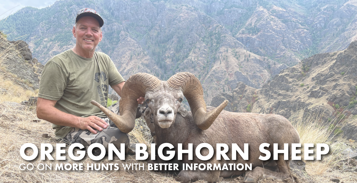 Oregon Bighorn Sheep Hunting