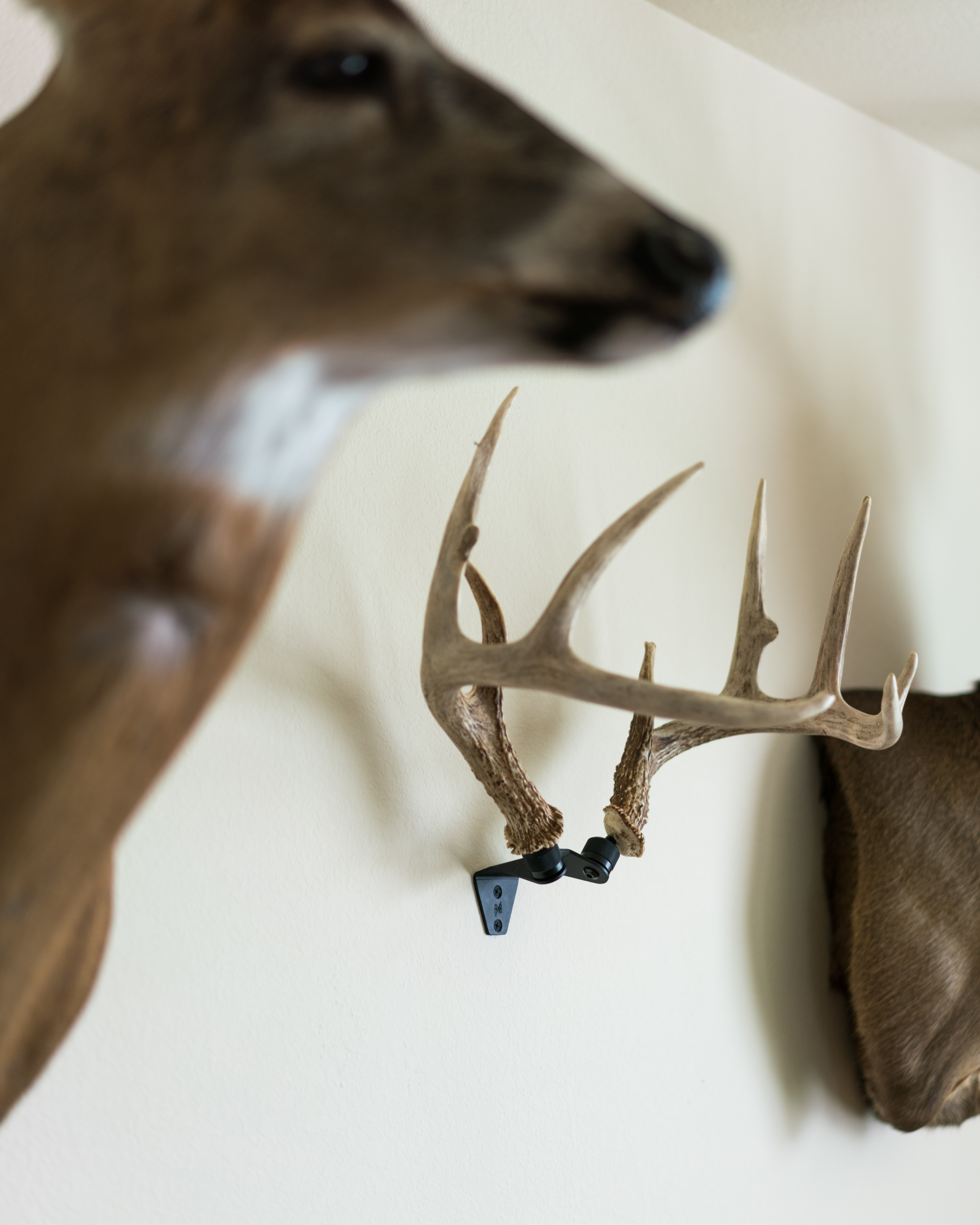 Rack Hub RH2 Match Set Deer Antler Display Rotating Wall Mount Kit Made in USA 
