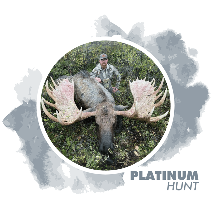 Platinum Prize: 2024 Alaska Trophy Moose Rut Hunt
