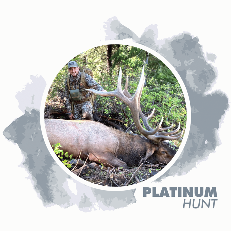 Platinum Prize: 2024 Utah Private Land Trophy Elk Rut Hunt