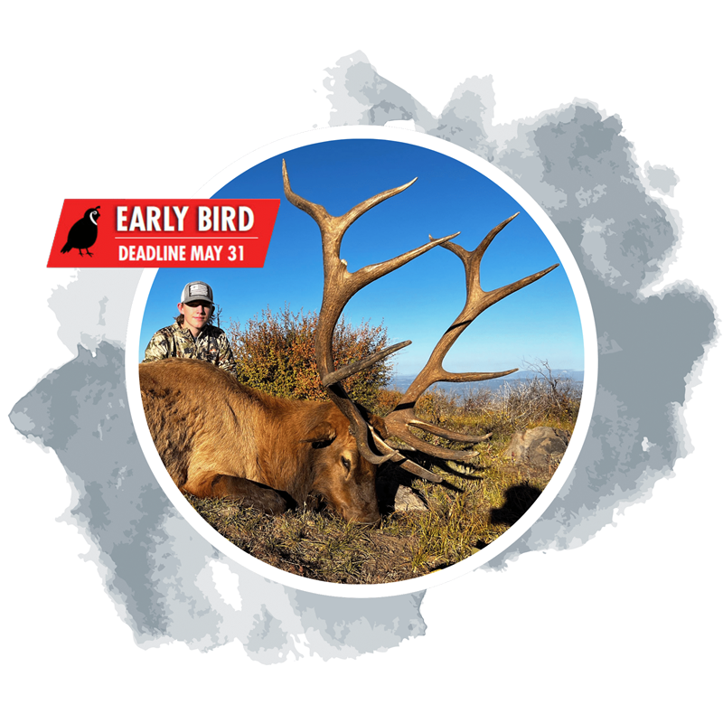 2025 New Mexico Winner’s Choice Trophy Elk Hunt