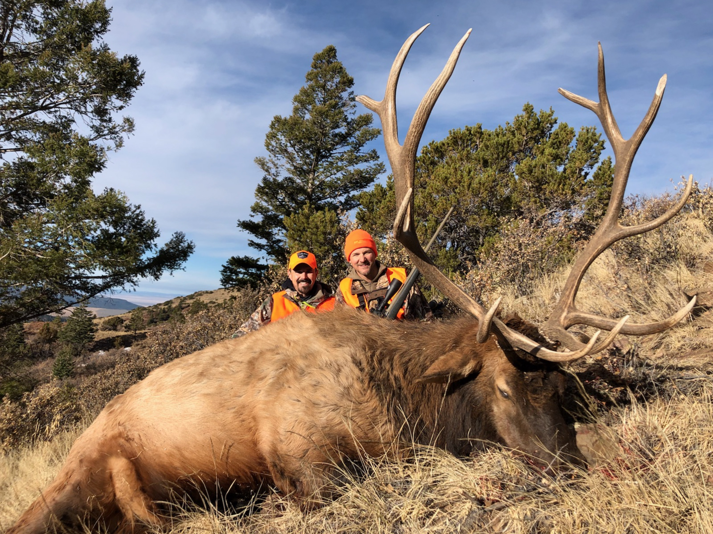 SE Colorado Private Land Rifle Elk Hunt | Huntin' Fool
